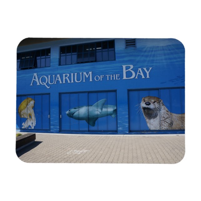 SF Aquarium of the Bay Magnet (Horisontell)