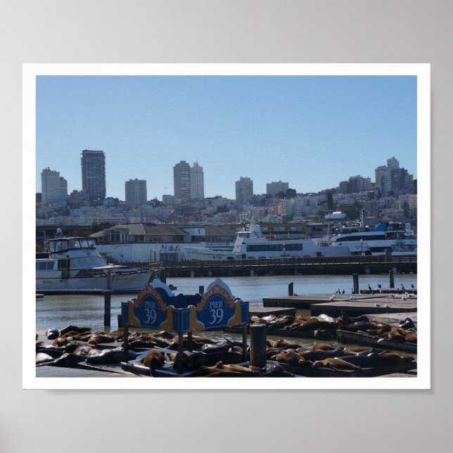 SF City Skyline & Pier 39 Sea Lejon #1-2 Poster (Framsidan)