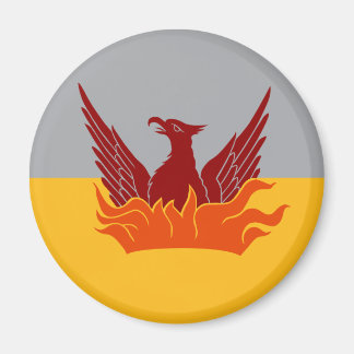 SF Fog & Guld Flagga Magnet