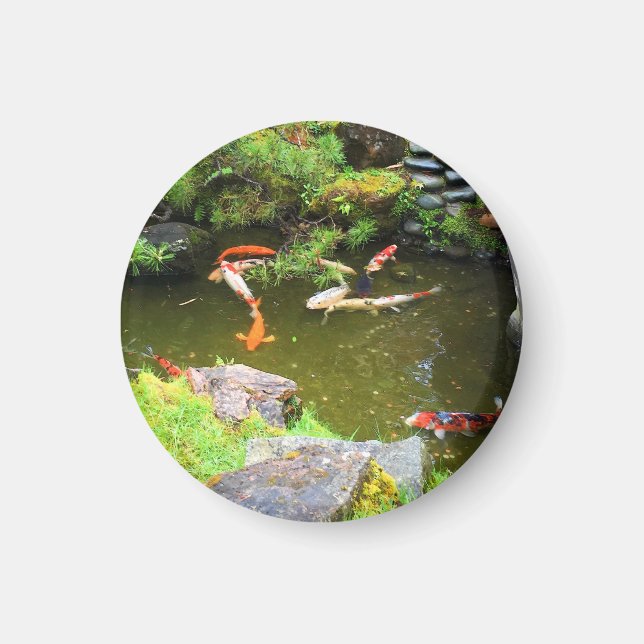 SF Japanska Tea Garden Koi Pond #1 Magnet (Framsidan)