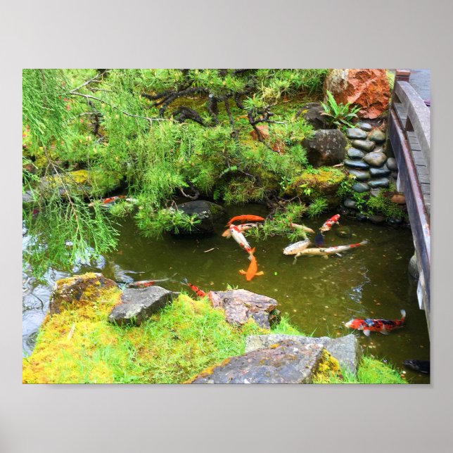 SF Japanska Tea Garden Koi Pond #1 Poster (Framsidan)