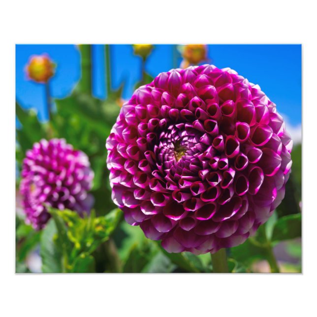 Sfärisk Fototryck (Framsidan)