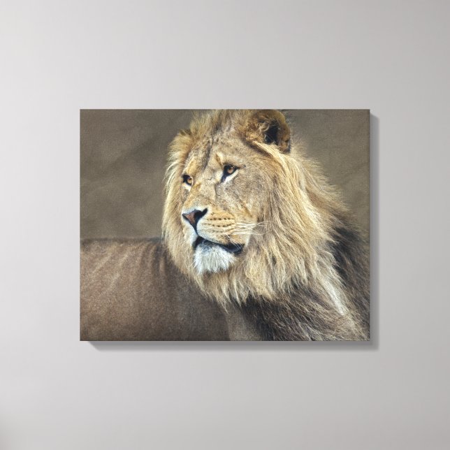 Sfinksinpackad Canvas (Framsida)