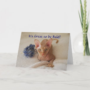 Sfinx Katt Hårlös Kemoterapi Humor Kort