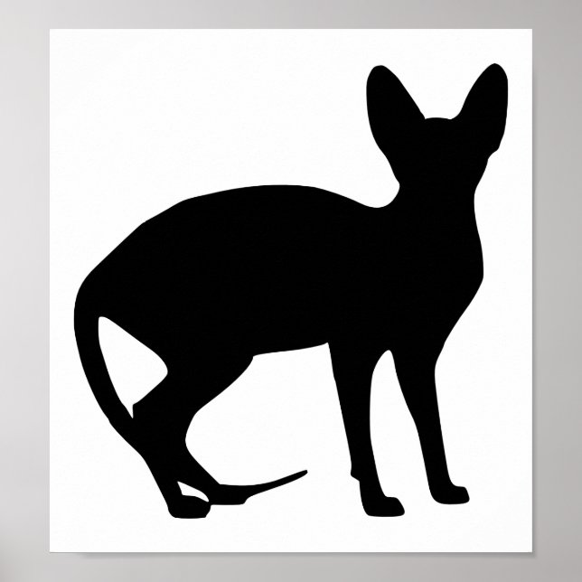 Sfinxkatt Poster (Framsidan)