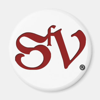 SfV para suas necessidades metálicas Magnet