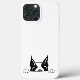 SG - 226 - iPhone 13 Pro Max-fodral