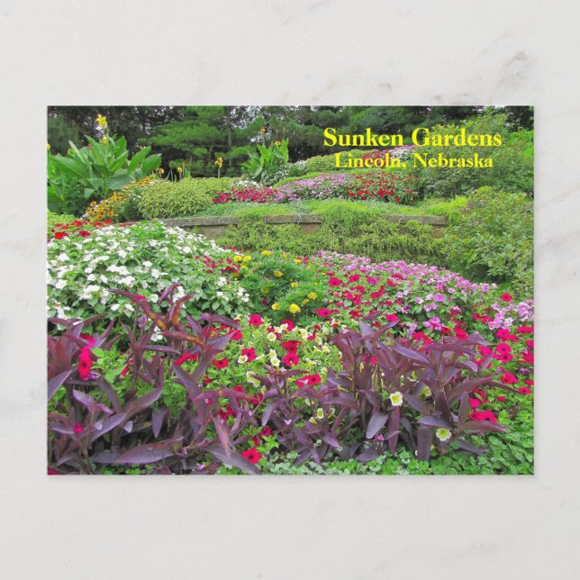 SG liggande vykort nr 170N 0170 (Framsida)