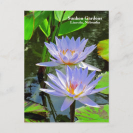 SG Pair of BLUE vatten lilies #100 00100 Vykort