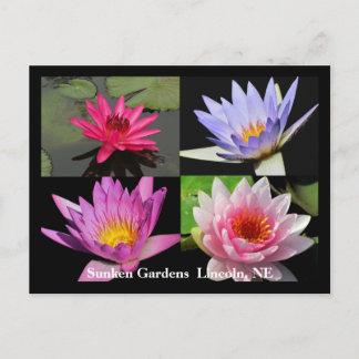 SG Waterlily Collage Postcard #1N 1100 Vykort