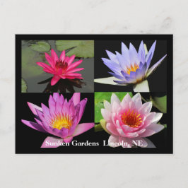 SG Waterlily Collage Postcard #1N 1100 Vykort