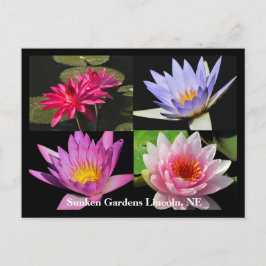 SG Waterlily Collage Postcard #6Nw 600 Vykort