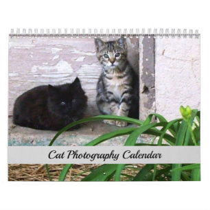 Sgolis Original Kattfotograferingskalender Kalender