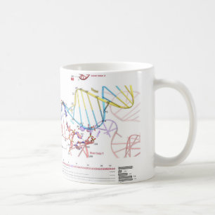 sgRNA och dess uppsätta som mål DNA Kaffemugg