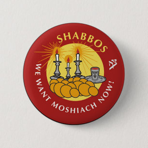 Shabbos Knapp