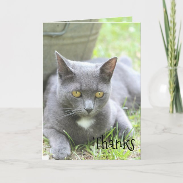 Shabby chic-kort tack kort (Framsida)