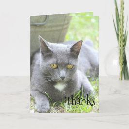 Shabby chic-kort tack kort