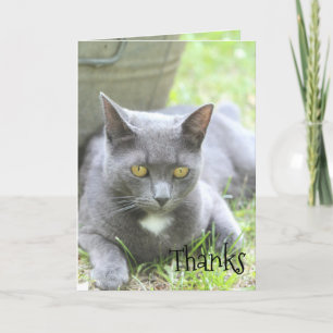 Shabby chic-kort tack kort