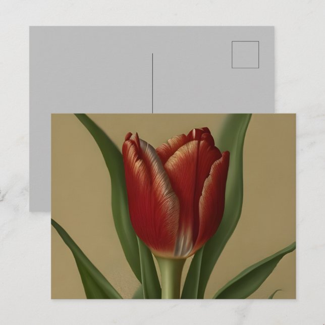 Shabby chic Loely Red Tulip Vykort (Fram/baksida)