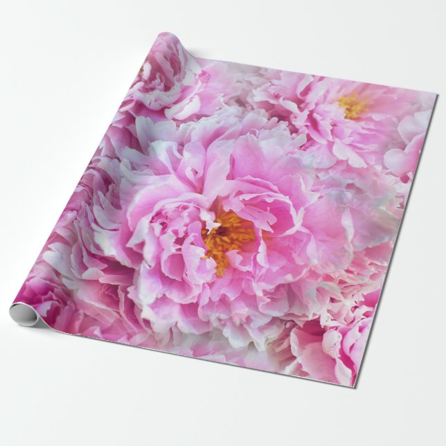 Shabby chic Rosa Pastel Rosa Peonies Presentpapper (Utrullad)