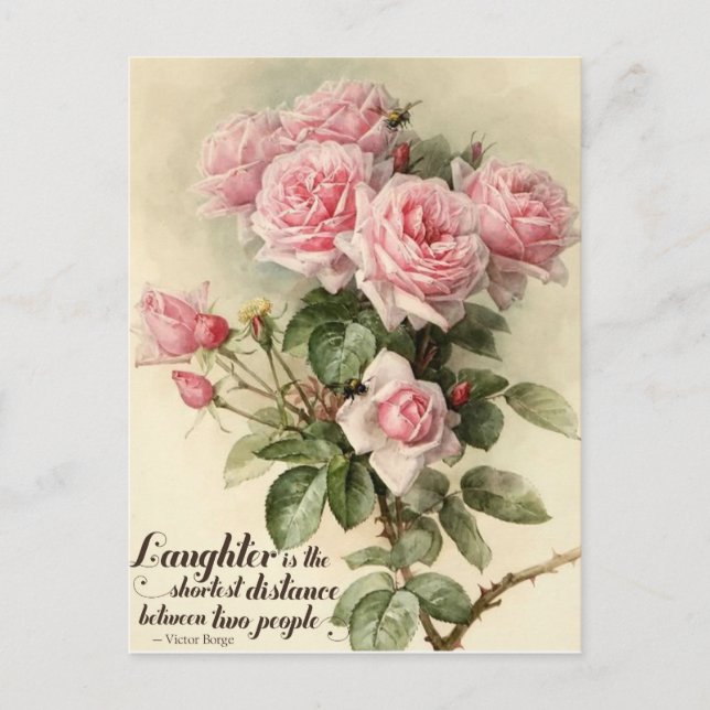 shabby chic Rosa Victorian Rosor Vykort (Framsida)