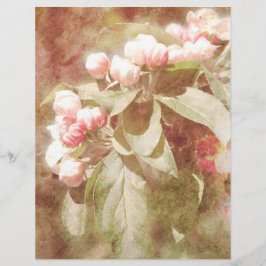 Shabby Rosa Apple Blommar Scrapbook Papper