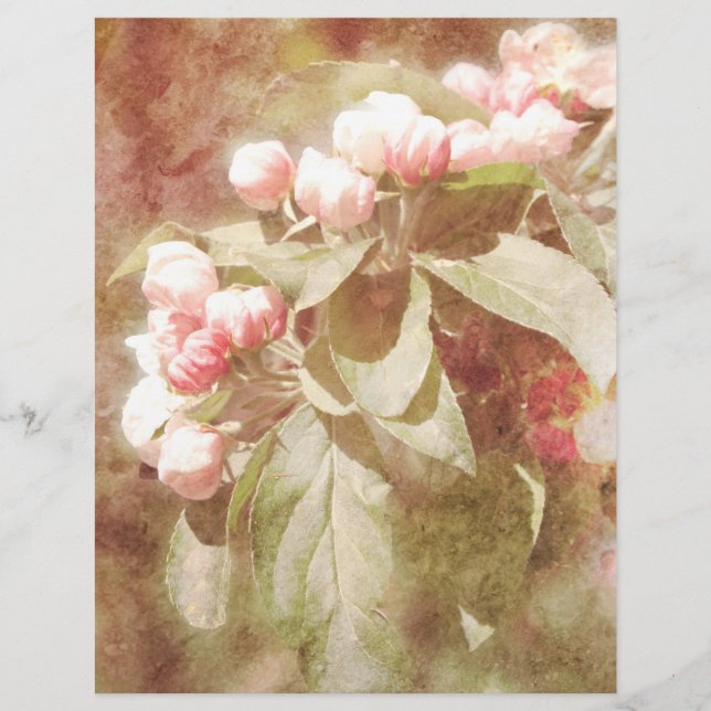 Shabby Rosa Apple Blommar Scrapbook Papper (Framsida)