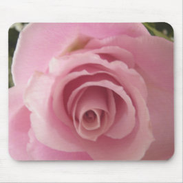 Shabby Rosa ros 2 Musmatta