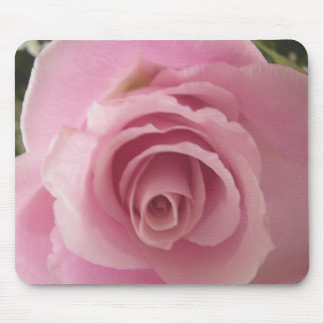 Shabby Rosa ros 2 Musmatta (Framsidan)