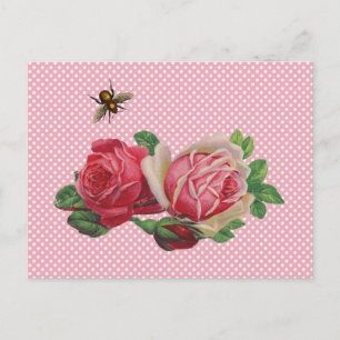 Shabby Rosor Postkort Vykort