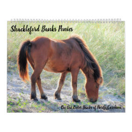 Shackleford Banker Ponies Kalender