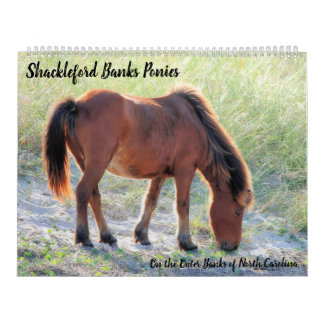 Shackleford Banker Ponies Kalender