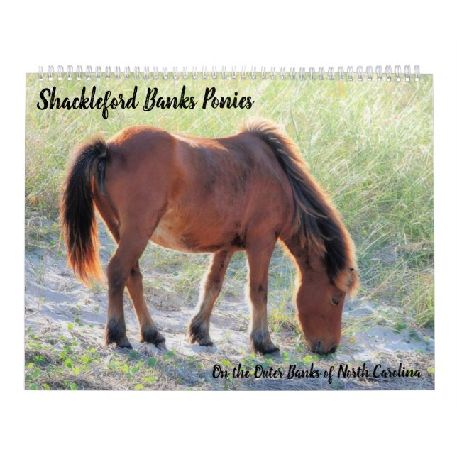 Shackleford Banker Ponies Kalender (Omslag)