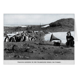 Shackleton i Antarcticgrammofon med pingvin Hälsningskort