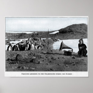 Shackleton i Antarcticgrammofon med pingvin Poster