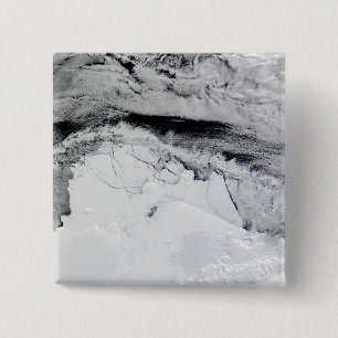 Shackleton ishylla, Antarktis Knapp