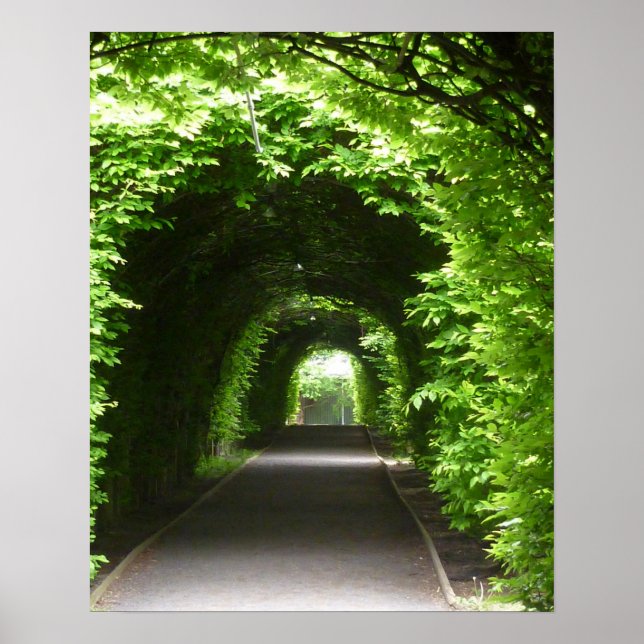 Shaded Botanic Garden Arbor Poster (Framsidan)