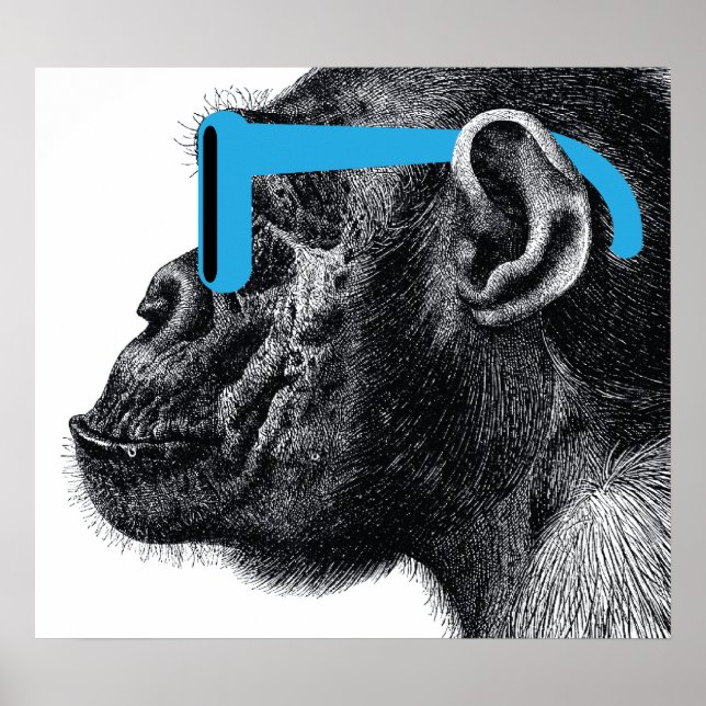 Shades Funny Poster (Framsidan)