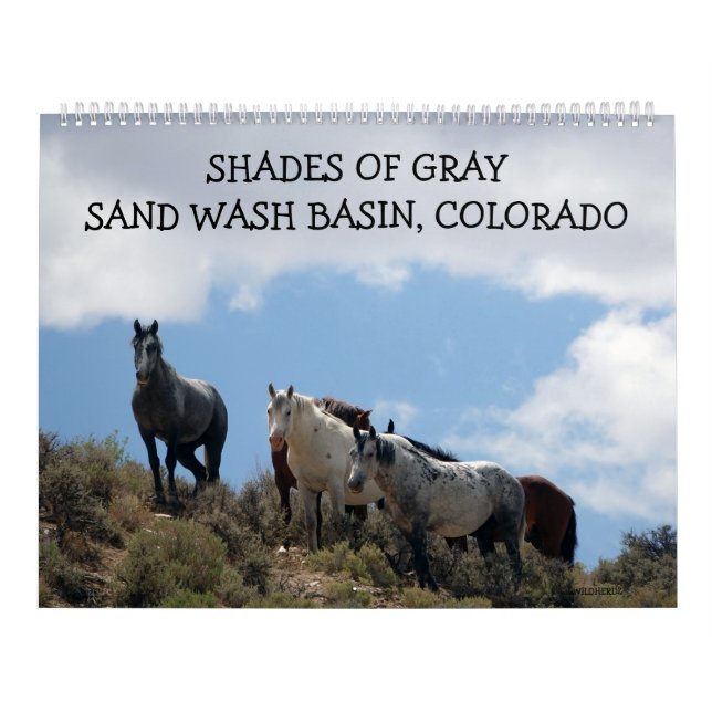Shades of Gray Sand Wash Basin, Colorado Kalender (Omslag)