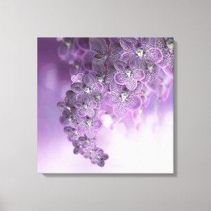 Shades of Violet Lila Orchids Canvastryck