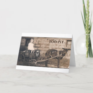 Shades på en Goat Kort