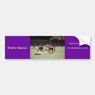 ShaDo Alpacas, snattrande, om du Pronk! Bildekal