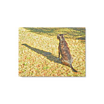 Shadow och hans hund canvas art