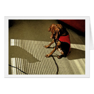 Shadowplay 1 hälsningskort