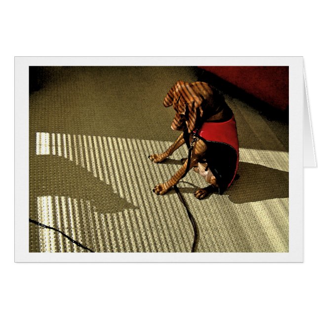 Shadowplay 1 hälsningskort (Framsidan Horizontal)