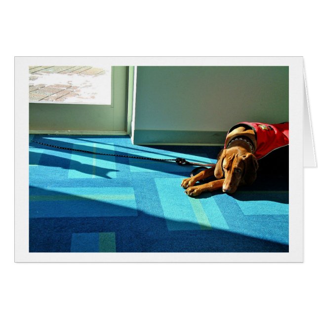 Shadowplay 2 hälsningskort (Framsidan Horizontal)