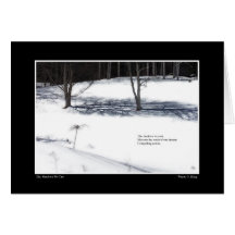 Shadows vi Cast Haiku