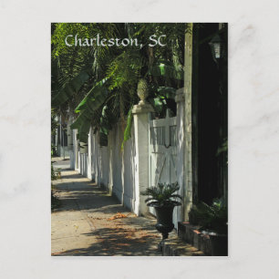 Shady Charleston-vykort Vykort