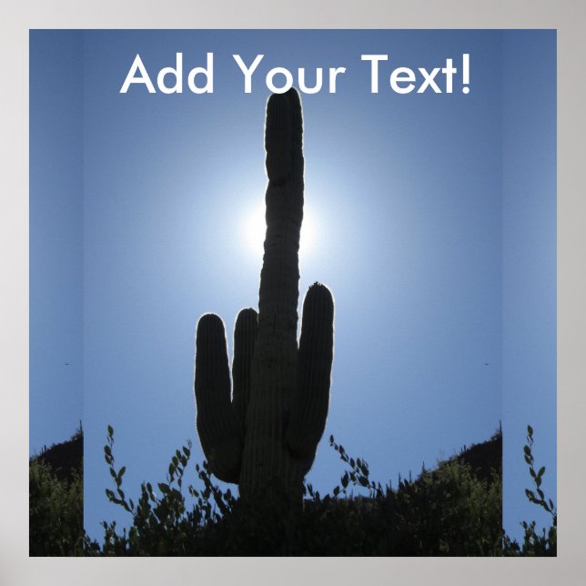 Shady Saguaro Poster (Framsidan)