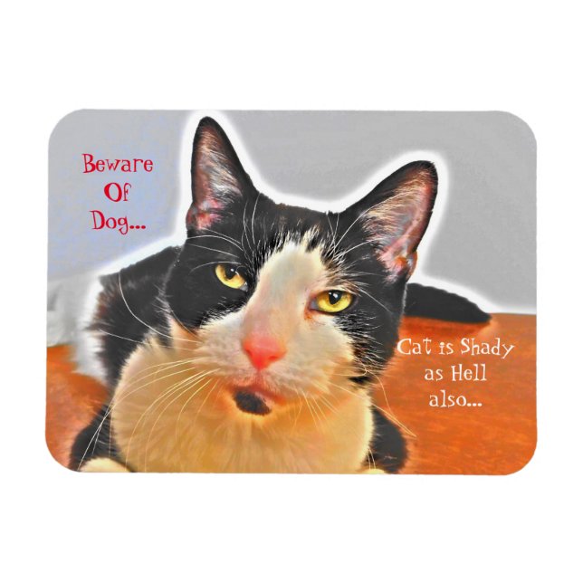 Shady Tuxedo Cat Magnet (Horisontell)